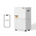 DREAME DD20 Déshumidificateur avec déshumidification 20L, antibactérien plasma, contrôle intelligent de l'humidité, réduction du bruit 5 couches, Vidange double flexible